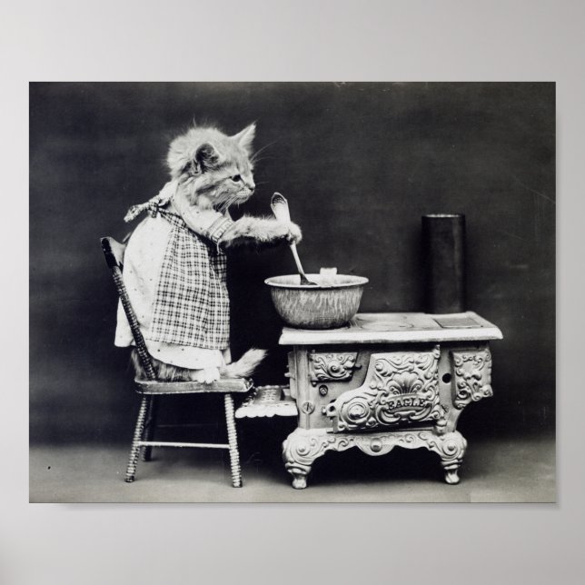 Poster Le Chat Cook Funny Harry Whittier Frees 1914 (Devant)