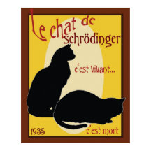 Le chat de Schrodinger