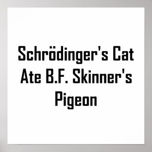 Poster Le chat de Schrödinger a mangé le pigeon de B.F. S