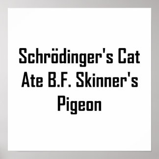 Poster Le chat de Schrödinger a mangé le pigeon de B.F. S