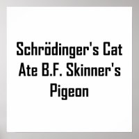 Le chat de Schrodinger et le pigeon de B.F. Skinne