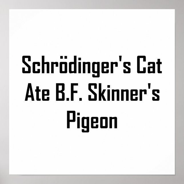 Poster Le chat de Schrodinger et le pigeon de B.F. Skinne (Devant)