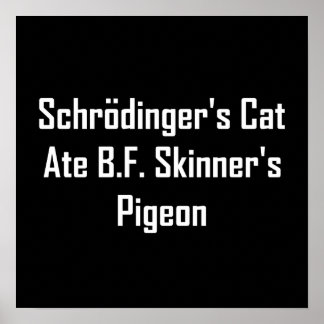 Poster Le chat de Schrodinger et le pigeon de B.F. Skinne