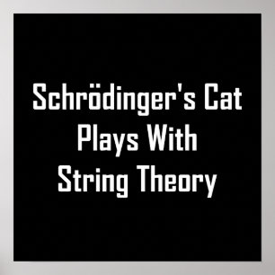 Poster Le chat de Schrodinger joue avec la théorie des co