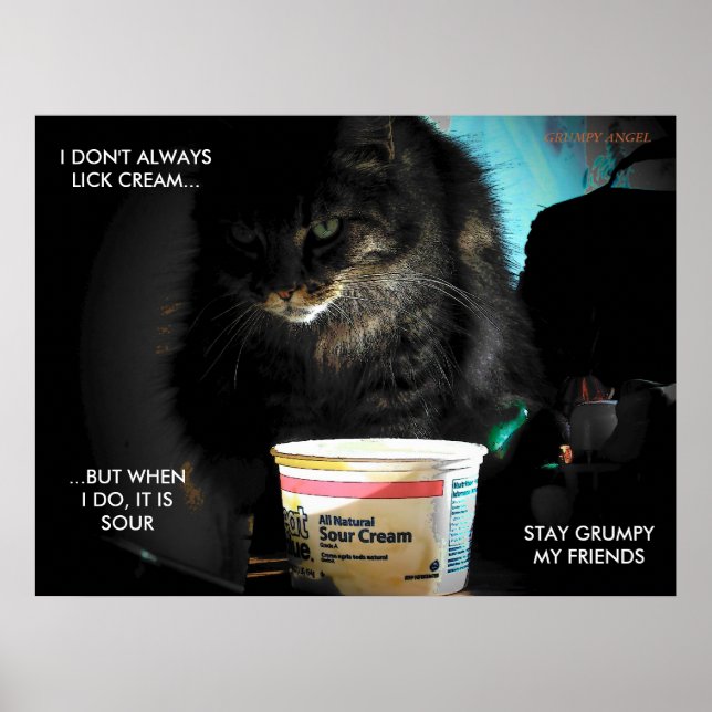 Poster Le Chat le plus intéressant au monde (Devant)