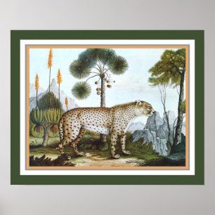 Poster "Le Cheetah" 1886 par Aloys Zotl