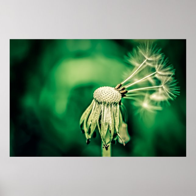 Poster Le chef (Devant)