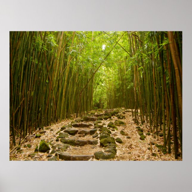 Poster Le chemin (Devant)