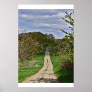 Poster Le chemin du retour II