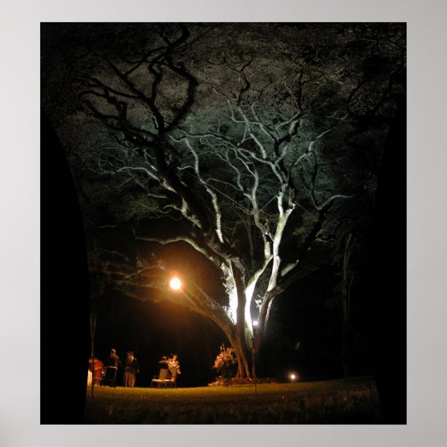 Poster Le chêne (Devant)