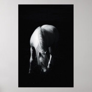 Poster Le cheval blanc