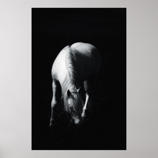 Poster Le cheval blanc (Devant)