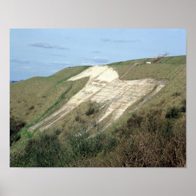 Poster Le cheval blanc Westbury (Devant)