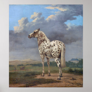 Poster Le Cheval Piebald