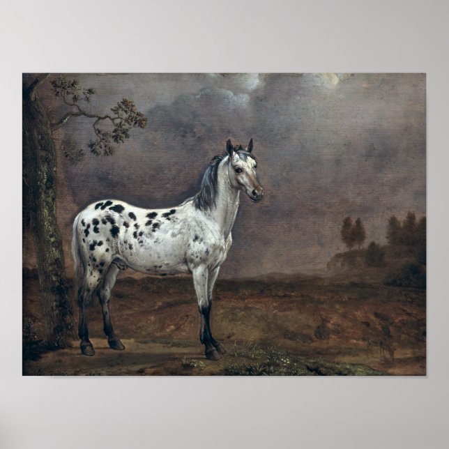 Poster Le Cheval Piebald, 1653 (Devant)
