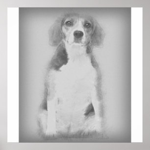 Poster Le Chien Beagle Est Dessiné Avec Un Crayon