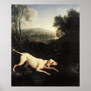 Poster Le chien de Louis XIV, Tane