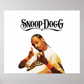 POSTER LE CHIEN DE NEIGE ÉTANT UNE BOÎTE ET UN LOGO
