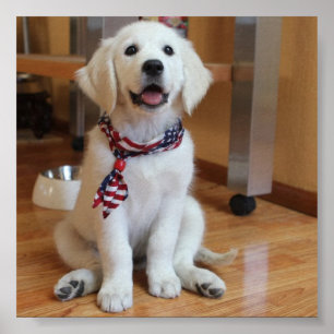 Poster le chien le plus mignon dans l'affiche du monde