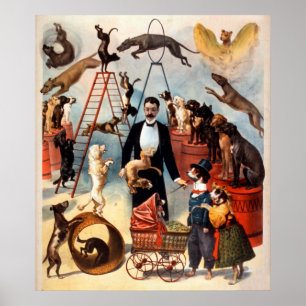 Poster Le cirque 1899 qualifié d'acte de chien poursuit