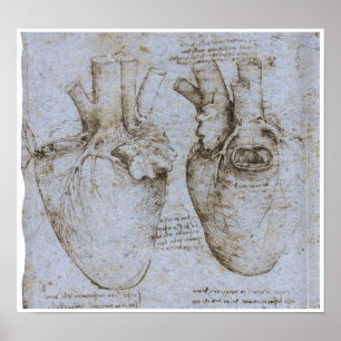 Poster Le Coeur Humain, Léonard de Vinci