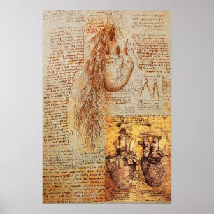 Poster Le cœur, les artères bronchiques et ses vaisseaux
