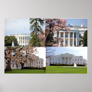 Poster Le collage de la Maison Blanche