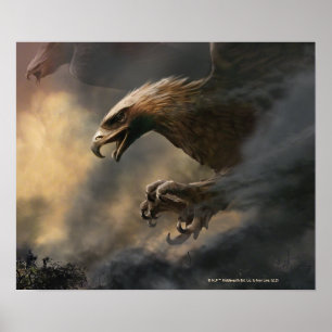 Poster Le concept des Grands Aigles