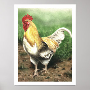 Poster Le coq