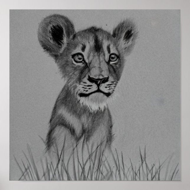 Poster Le Coup de la Litter (Devant)