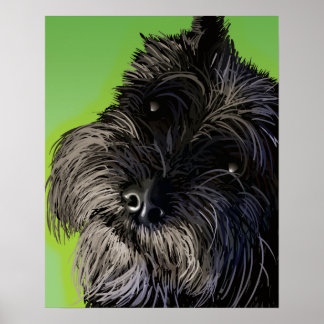 Poster Le curieux Schnauzer