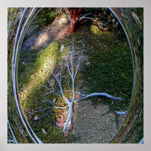 Poster Le cycle de la vie....