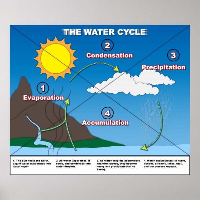 Poster Le cycle de l'eau (Devant)