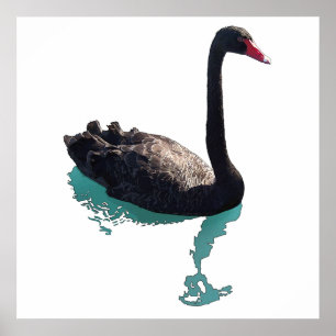 Poster Le cygne noir