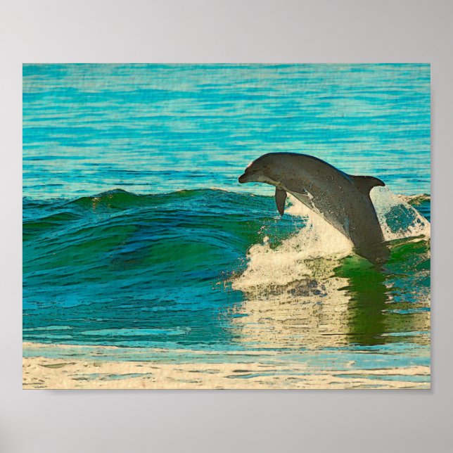 Poster Le dauphin est mon esprit animal (Devant)