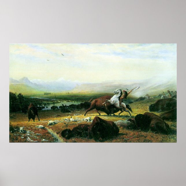 Poster Le dernier buffle de Bierstadt (Devant)