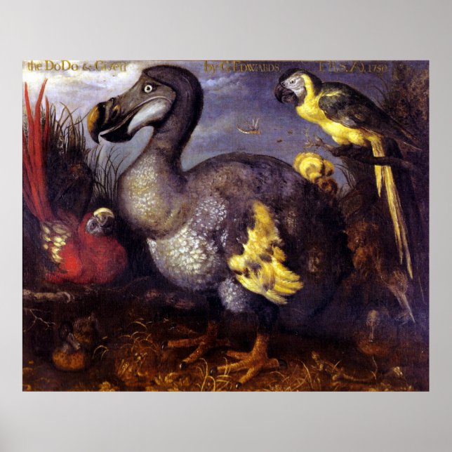 Poster Le Dodo Et Les Amis (Devant)