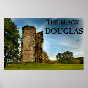 Poster Le Douglas noir