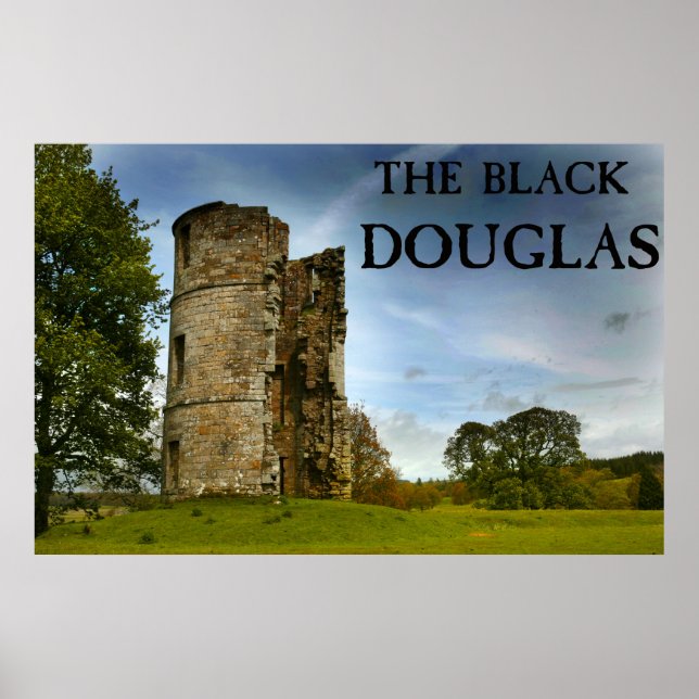 Poster Le Douglas noir (Devant)