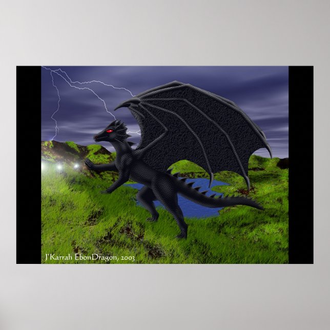 Poster Le dragon Mage (Devant)