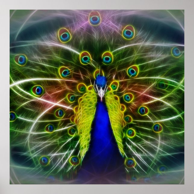 Poster Le Dreamcatcher de Peacock (Devant)