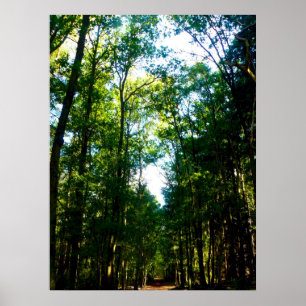 Poster Le droit et le étroit