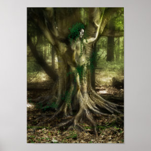 Poster Le Dryad