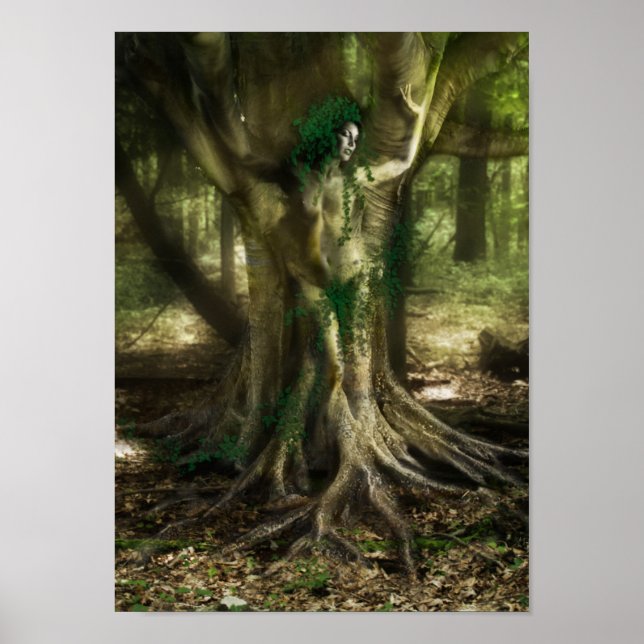 Poster Le Dryad (Devant)