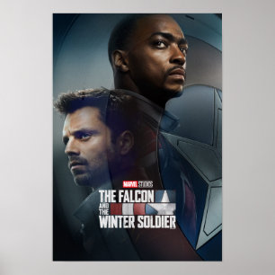 Poster Le Faucon et l'affiche du bouclier d'hiver
