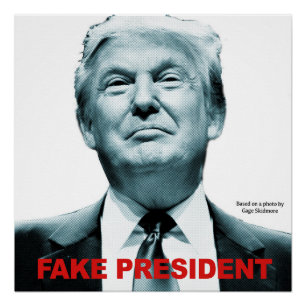 Poster Le faux président (Trump)