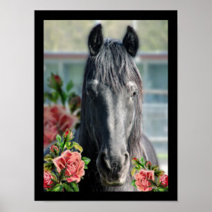 Poster Le friésien - Portrait