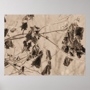 Poster Le froid de l'hiver sur les Feuilles morts sur une