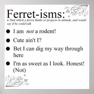 Poster Le furet fait face à des énonciations et à des