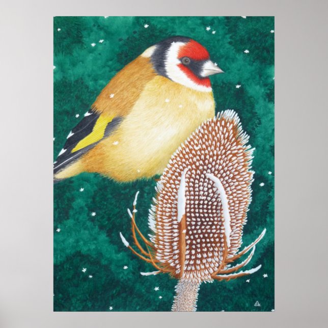 Poster Le Goldfinch européen (Devant)